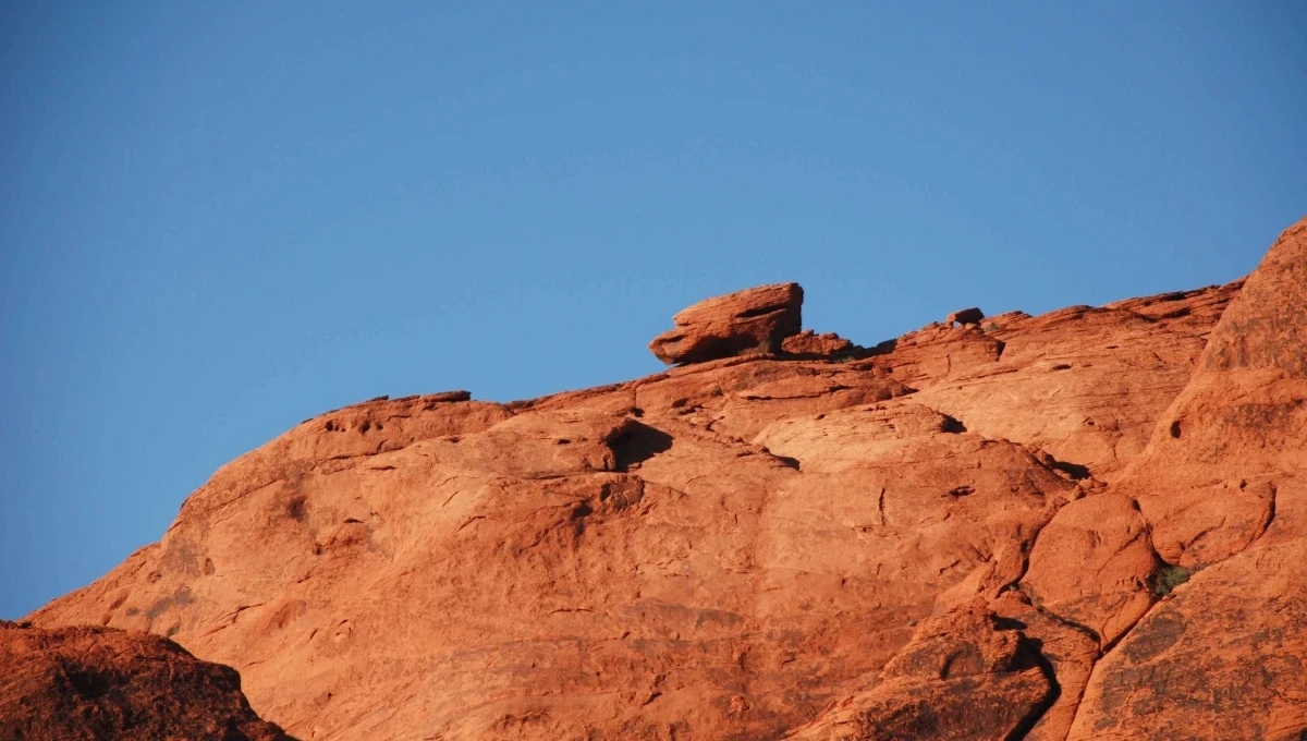 17 thiết kế bền vững được ưa chuộng tại Cần Thơ