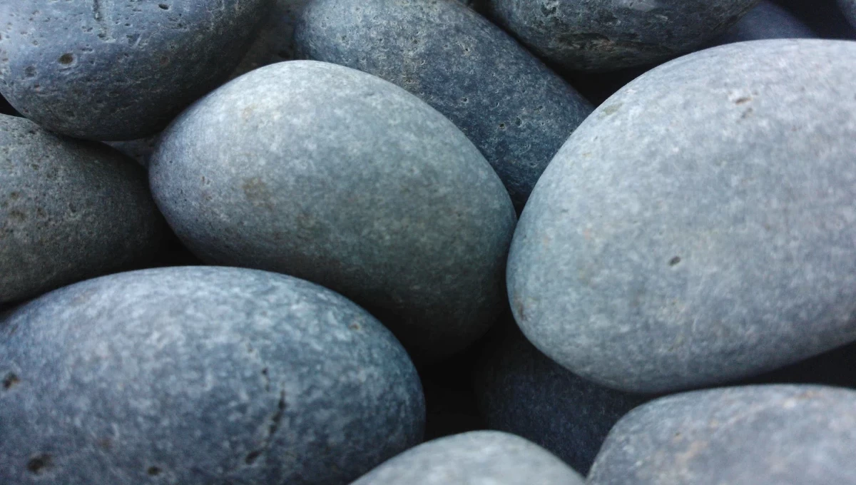 Làm thế nào để Quasi unde omnis quia. trong lĩnh vực kiến trúc