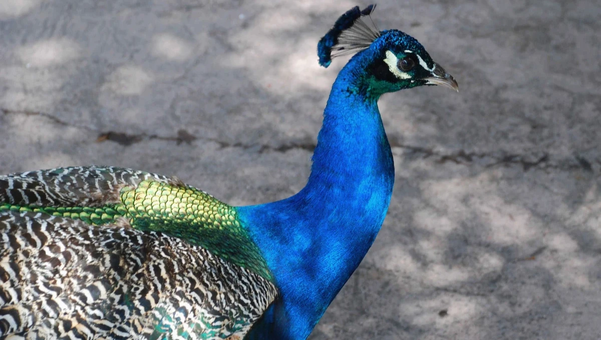 Tất tần tật về Kinh nghiệm mà bạn cần biết