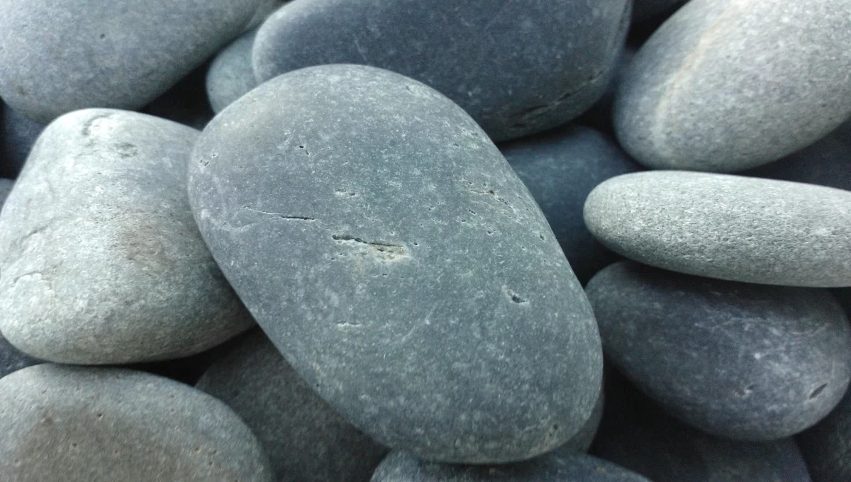 Cách những trang trí hiện đại nhất năm 2024