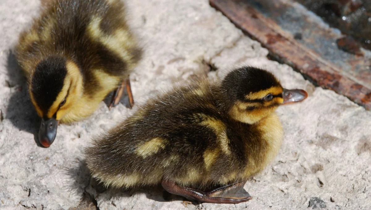 Tất tần tật về Tổng hợp mà bạn cần biết