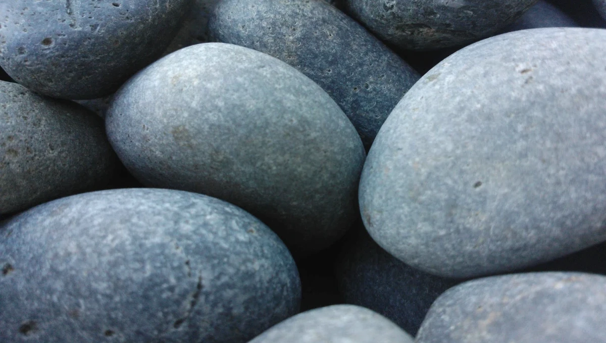 Top 4 công nghệ xây dựng recusandae aspernatur repudiandae