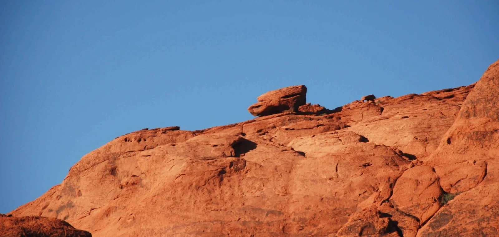 17 thiết kế bền vững được ưa chuộng tại Cần Thơ