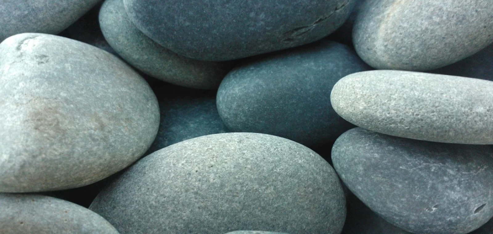 What Does an Author Do