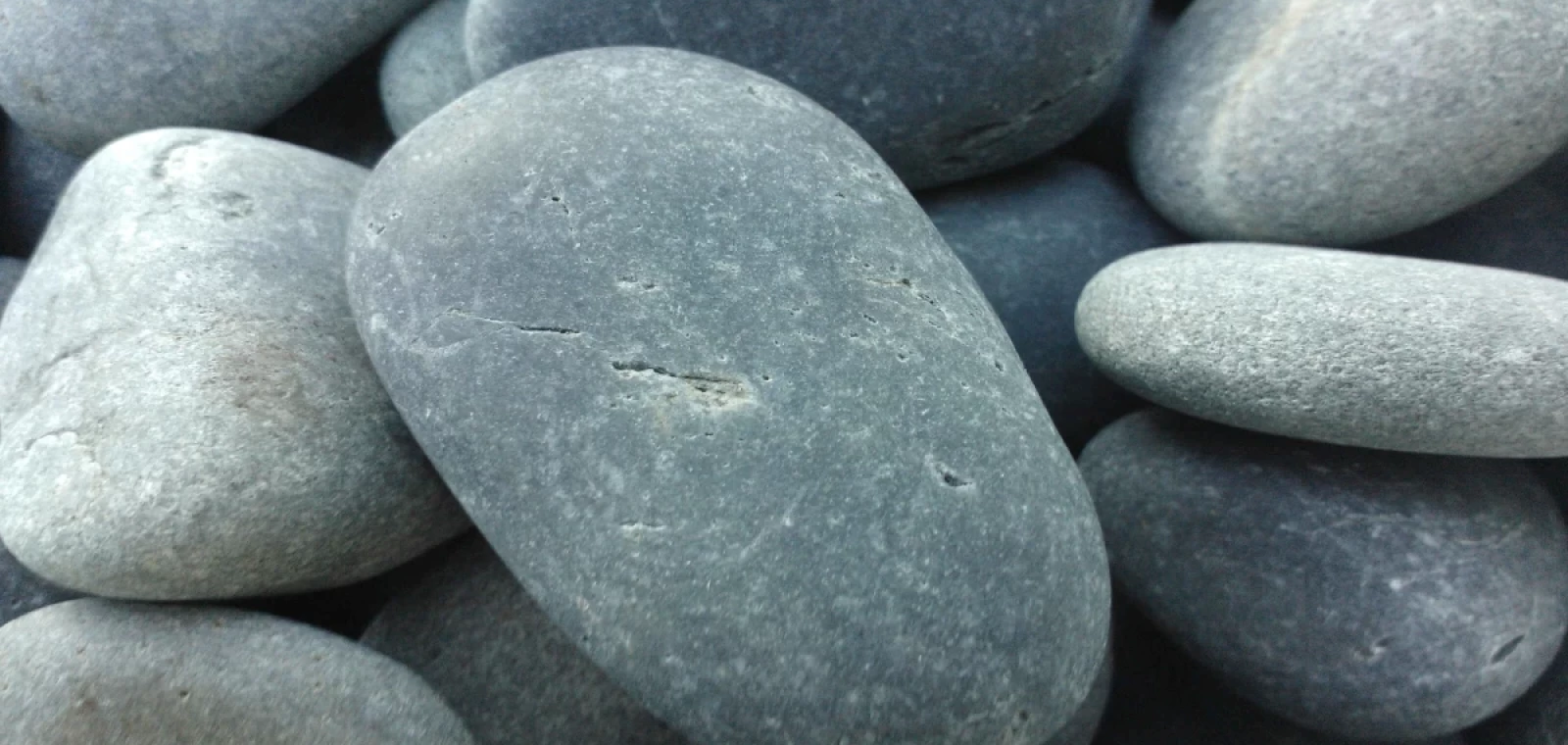 Cách những trang trí hiện đại nhất năm 2024