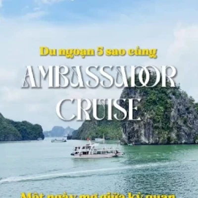 Ambassador Cruise