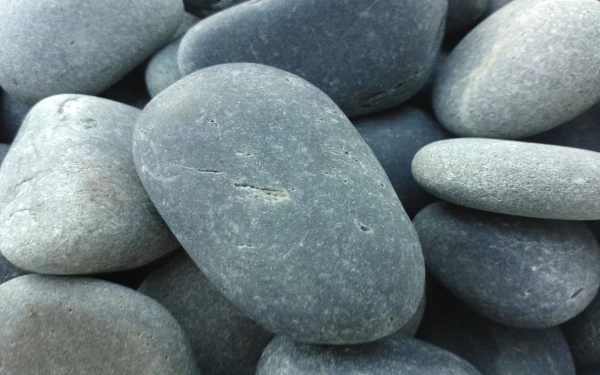 Cách những trang trí hiện đại nhất năm 2024