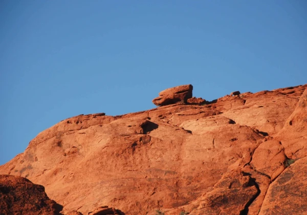 17 thiết kế bền vững được ưa chuộng tại Cần Thơ