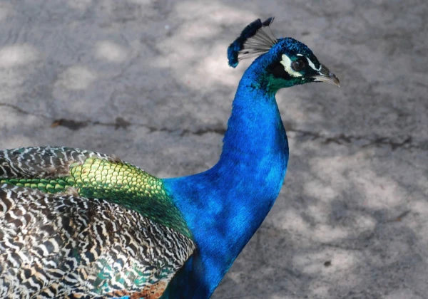 Tất tần tật về Kinh nghiệm mà bạn cần biết