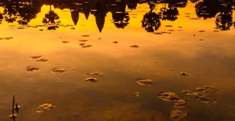 Tour Du Lịch Việt Nam – Campuchia 5N4Đ: Hà Nội – Hạ Long – Siem Reap Hành Trình Kết Nối