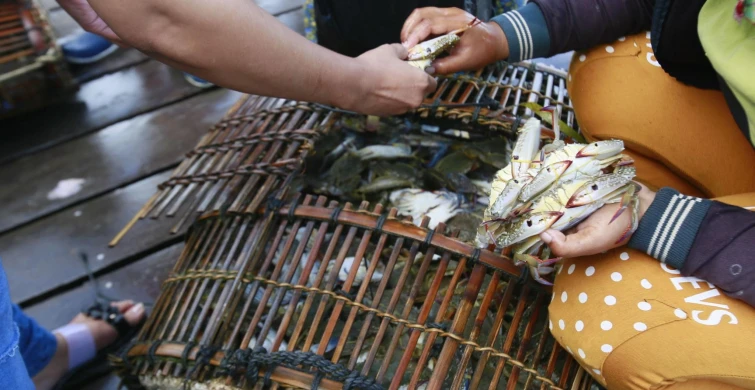Du Lịch Cambodia Nature 5N4Đ: Koh Rong – Kampot – Kep Khám Phá Thiên Nhiên