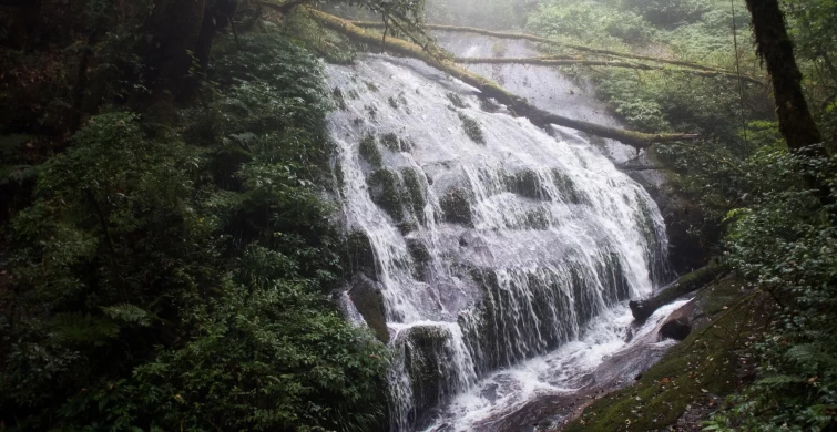 Tour Du Lịch Thái Lan Family 5N4Đ: Bangkok – Phuket – Chiang Mai Hành Trình Gia Đình