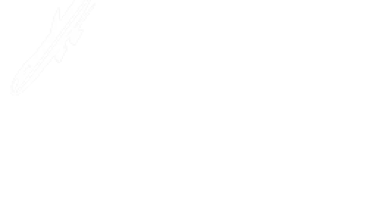 Experience highlight 1