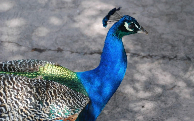 Tất tần tật về Kinh nghiệm mà bạn cần biết